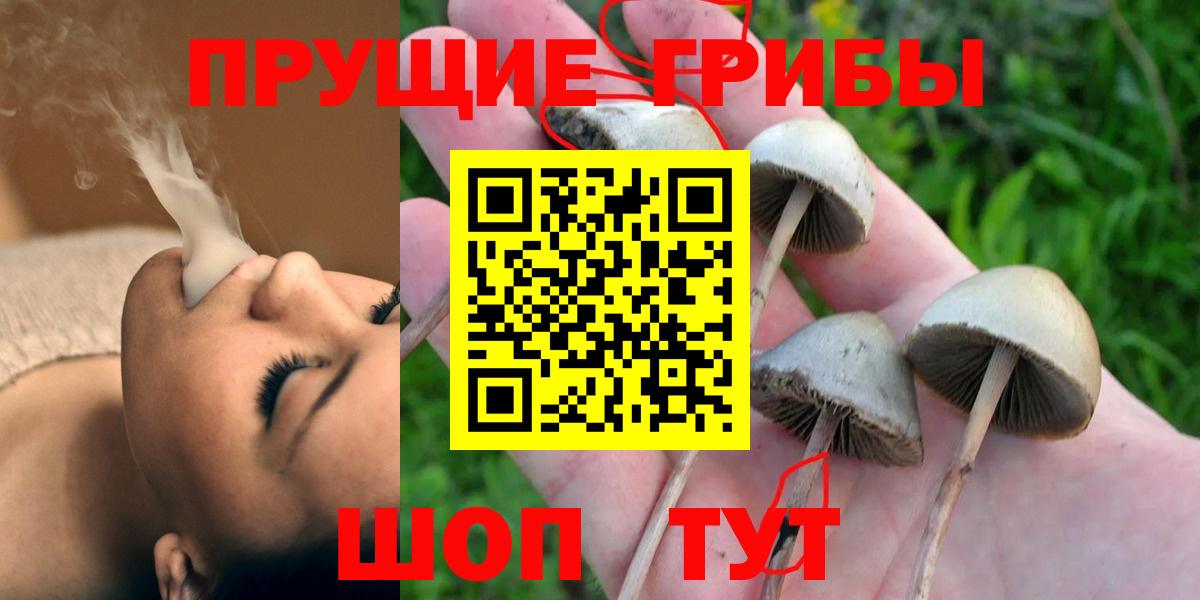 Лесозаводск  Псилоцибиновые грибы Psilocybe  Вход с VPN 